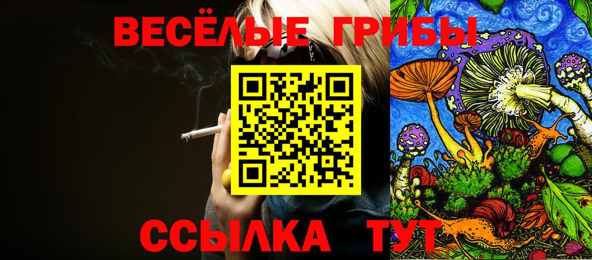 Галлюциногенные грибы мицелий Ижевск